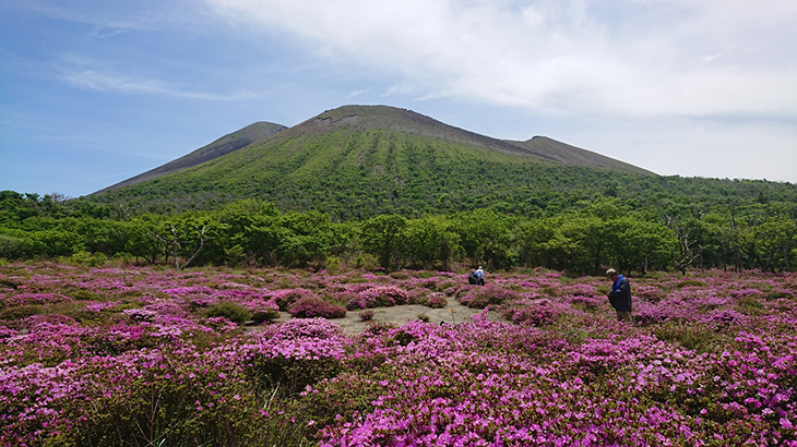高千穂峰の景色　ミヤマキリシマの群生が美しい