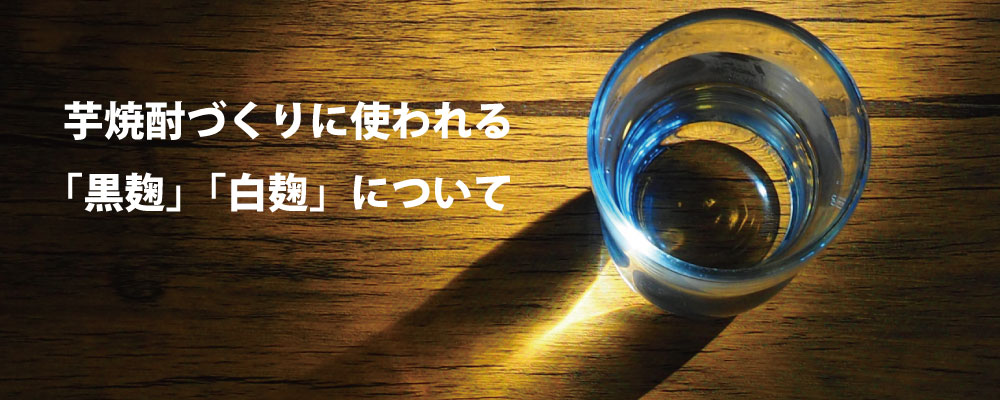 芋焼酎づくりに使われる「黒麹」「白麹」「黄麹」について