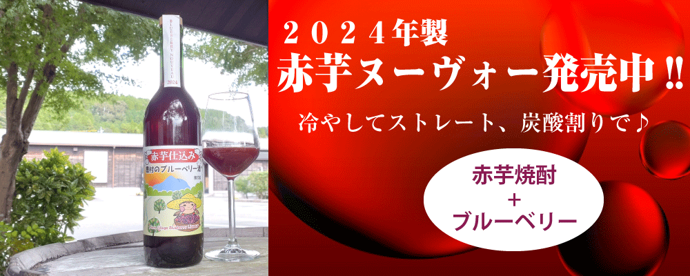 2024年製　赤芋焼酎+ブルーベリーの「赤芋仕込み農村のﾌﾞﾙｰﾍﾞﾘｰ酒・ヌーヴォー」発売中！冷やしてストレートか、炭酸割りで♪食事とおいしく、すっきり飲めます。