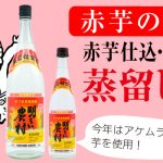 冬だけの限定品「赤芋仕込み・明るい農村 蒸留したて」発売中！2024年は、アケムラサキ芋を使用。今だけのフレッシュな風味をお楽しみください。