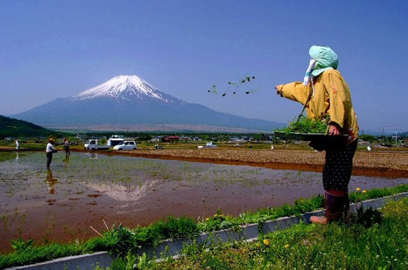 第７回明るい農村フォトコンテスト「富士山に届け」