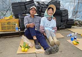 第14回　明るい農村フォトコンテスト「オシドリ夫婦」