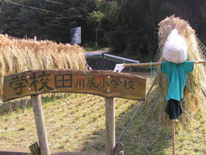 第2回明るい農村フォトコンテスト「立たされ坊主」（小学校の頃先生に起こられて、立たされた事を思い出しました）