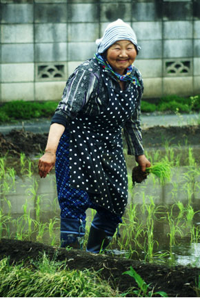 第７回明るい農村フォトコンテスト「田植えでニッコリ」