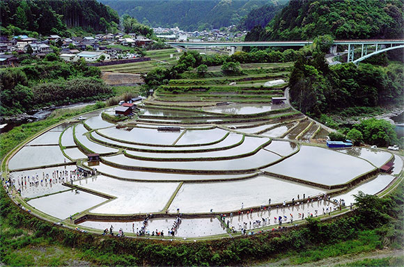 第８回明るい農村フォトコンテスト「田植え体験」