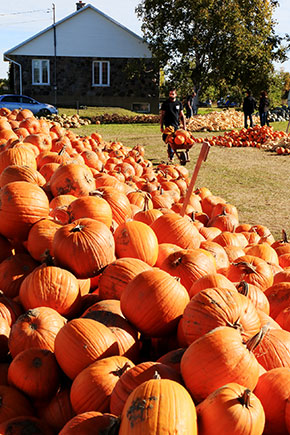 第13回　明るい農村フォトコンテスト「ようこそハロウィーン」