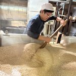 今シーズンの最後は、麦焼酎づくりです。厳選の国産麦を使い、丁寧に麦麹を造っています。
