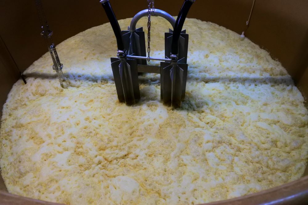かめ壺で発酵する麦焼酎のモロミ