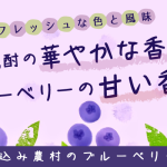 「赤芋仕込み農村のブルーベリー・ヌーヴォー」2025年秋は、とびきり美味しくできました！