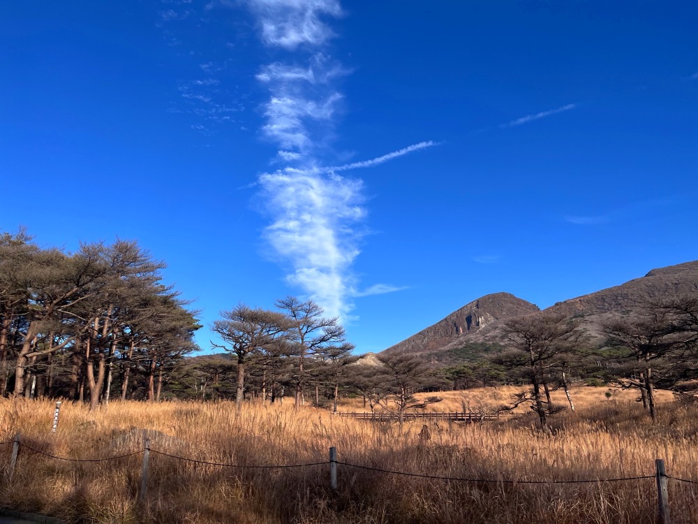 えびの高原の一面に広がるススキの原