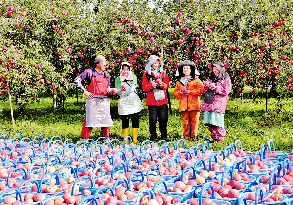 「笑顔の収穫」