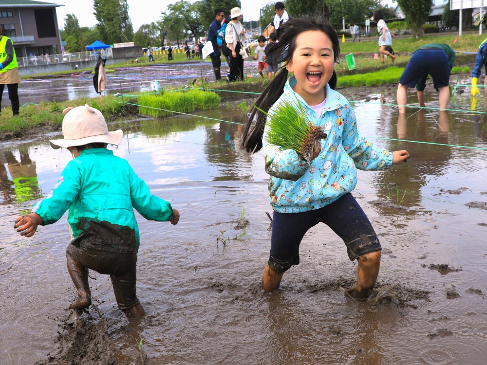 「嬉しいお田植え」