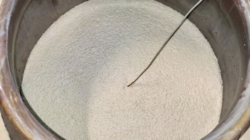 黄麹仕込み、伝統のかめ壺で発酵