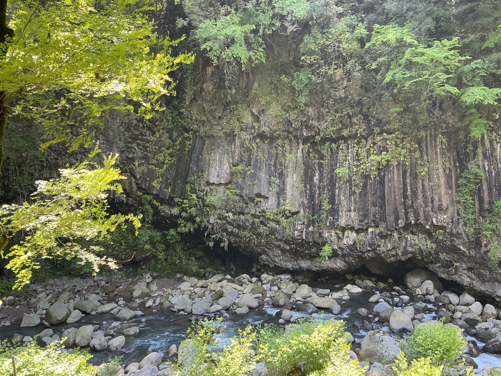 蔵の近くにある霧島神水峡の柱状節理（ちゅうじょうせつり）
高千穂峰の寄生火山「御鉢火山」の788年の噴火の時の溶岩。
霧島は今、初夏です。(5月1日)