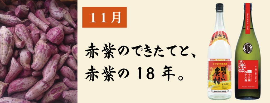 2026年 霧島町蒸留所 秋の定期便 期間限定 限定焼酎 2026年11月お届け分