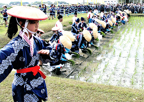 お田植祭り