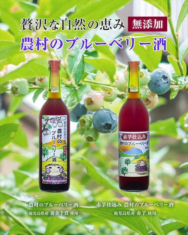 【 明るい農村のブルーベリー酒 シリーズ 】

旧霧島町の特産「ブルーベリー」を自社農園で栽培し、スタッフがひと粒ずつ手摘み。
かめ壺仕込みの芋焼酎に漬け込み、香料や着色料などを加えず仕上げた無添加のリキュールです。焼酎のすっきり感とブルーベリーのほのかな甘酸っぱさがやさしく寄り添います。

［ 農村のブルーベリー酒 ］

「明るい農村」に霧島産ブルーベリーを漬けたすっきり軽やかな一本。お肉やお魚、チーズとの相性も◎です。

原材料：さつまいも（鹿児島県産 黄金千貫）、米麹（国産米）、ブルーベリー（霧島産）
アルコール分：14度｜内容量：720ml

［ 赤芋仕込み 農村のブルーベリー酒 ］

赤芋焼酎ならではの華やかな香りにブルーベリーの自然な甘みが重なります。ストレートやロックでゆっくり楽しむのもおすすめです。

原材料：さつまいも（鹿児島県産 赤芋）、米麹（国産米）、ブルーベリー（霧島産）
アルコール分：14度｜内容量：720ml

やさしい味わいのブルーベリー酒。日々の食卓や、ちょっとした贈りものに。心ほどける時間とともに、ぜひお楽しみください。

商品の詳細はこちら↓↓

https://akarui-nouson.jp/syouhin/akaruinouson/blueberry/

明るい農村 公式ホームページ
……………………………………………………………

霧島町蒸留所 「明るい農村」

■営業時間：9:00～17:00

■焼酎蔵見学（無料・ご予約不要）
（蔵見学 最終受付 16:30）

■試飲コーナー・直売所もございます。

■住所：〒899-4201
鹿児島県霧島市霧島田口５６４−１
※霧島神宮駅から車で4分🚗
※霧島神宮から車で7分⛩
（県道60号線沿い）

■駐車場：普通車8台＋バス等1〜2台可
10名以上の団体のお客様、バスでお越しのお客様は予めご連絡をいただけますと幸いです。

■お問い合わせ
TEL:0995-57-0865